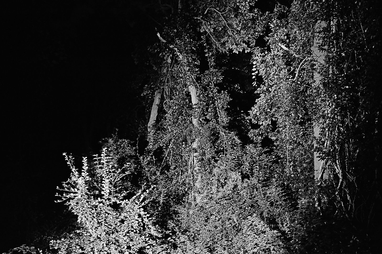 Heiss! #12, 2020, Gelatin Silver Print,