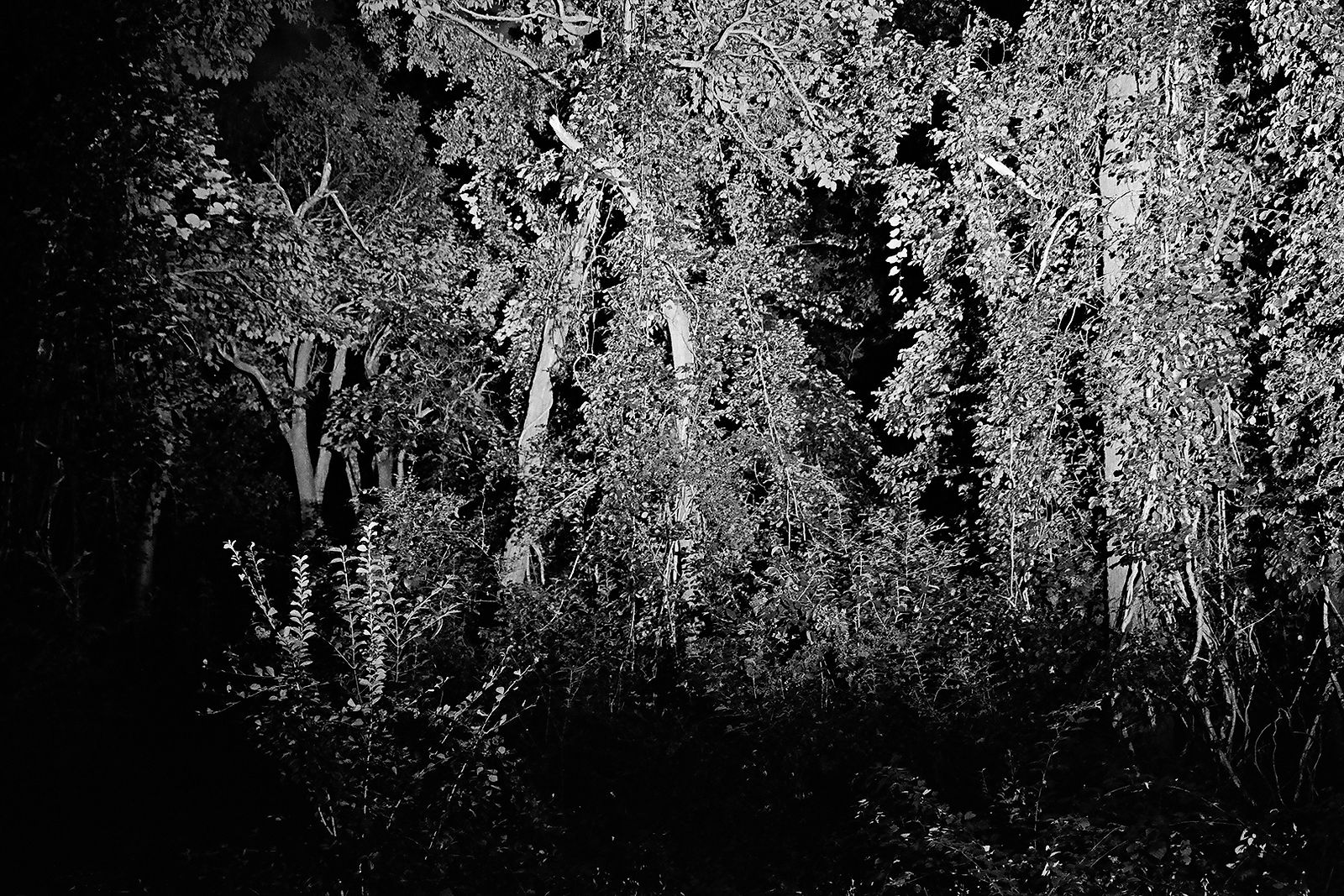 Heiss! #2, 2020, Gelatin Silver Print, 8