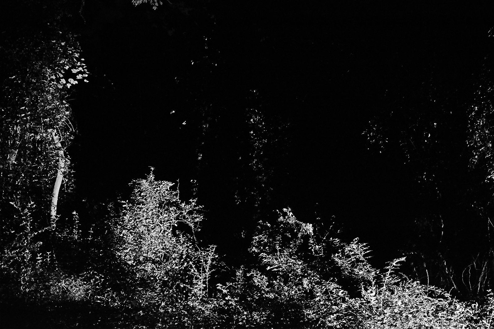 Heiss! #10, 2020, Gelatin Silver Print,