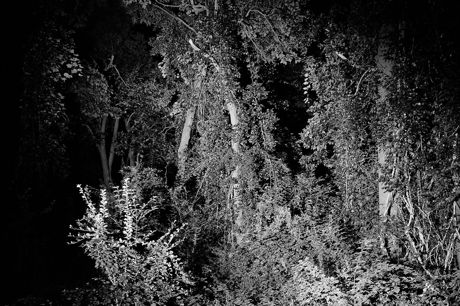 Heiss! #4, 2020, Gelatin Silver Print, 8