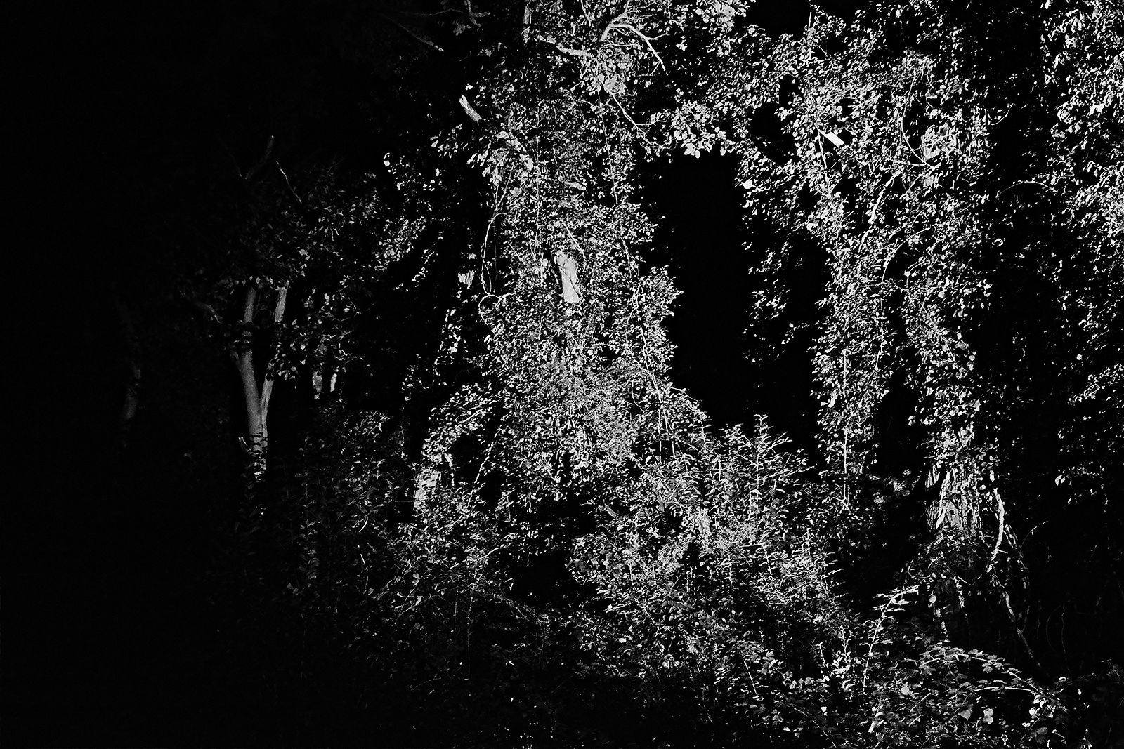 Heiss! #9, 2020, Gelatin Silver Print, 8