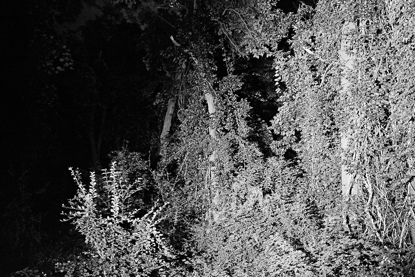 Heiss! #3, 2020, Gelatin Silver Print, 8