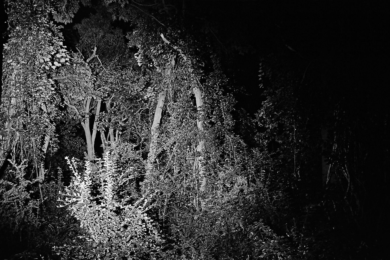Heiss! #11, 2020, Gelatin Silver Print,