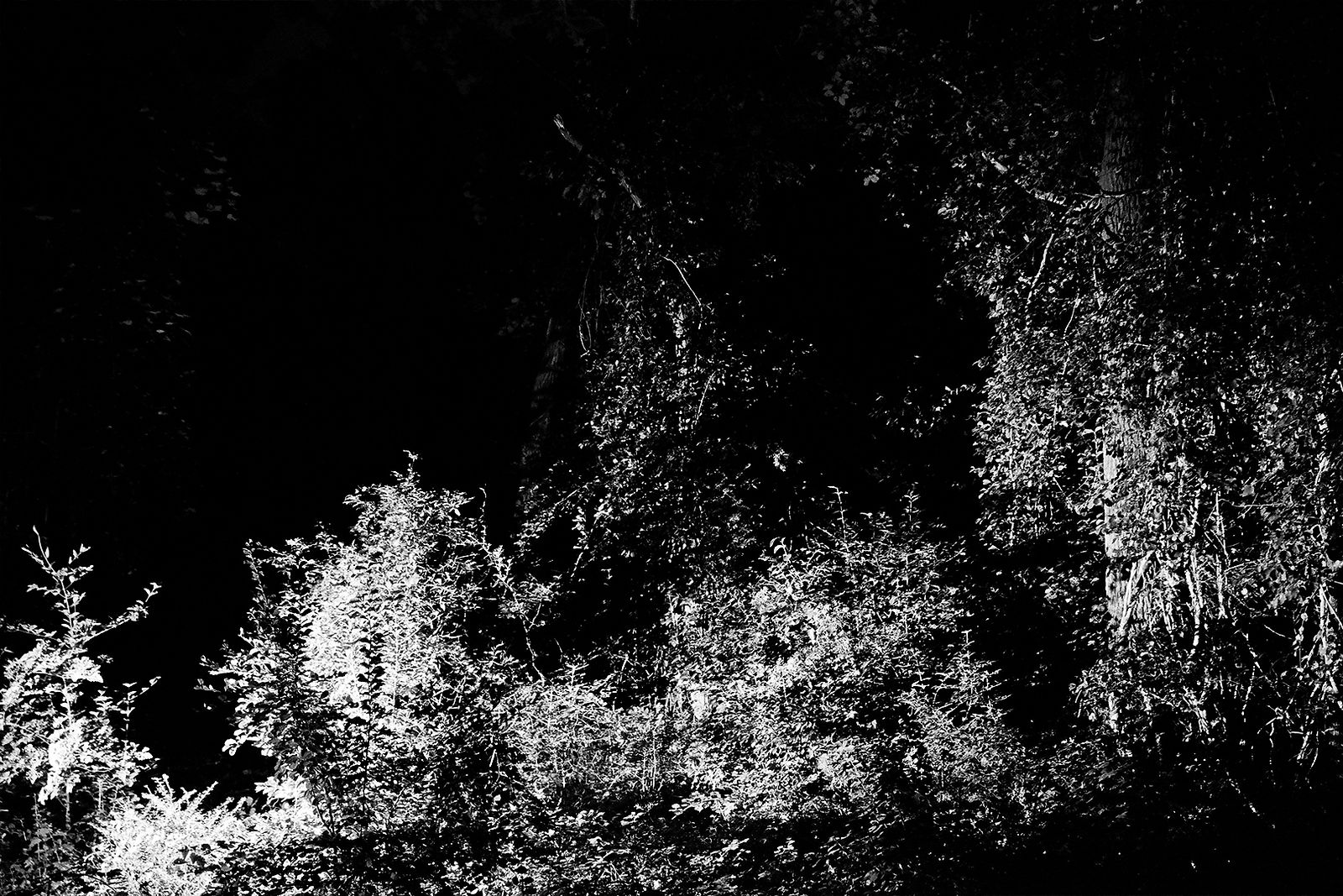 Heiss! #5, 2020, Gelatin Silver Print, 8