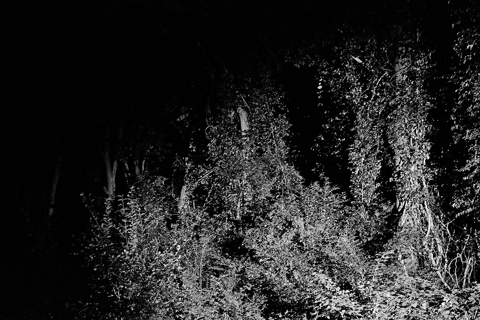 Heiss! #8, 2020, Gelatin Silver Print, 8