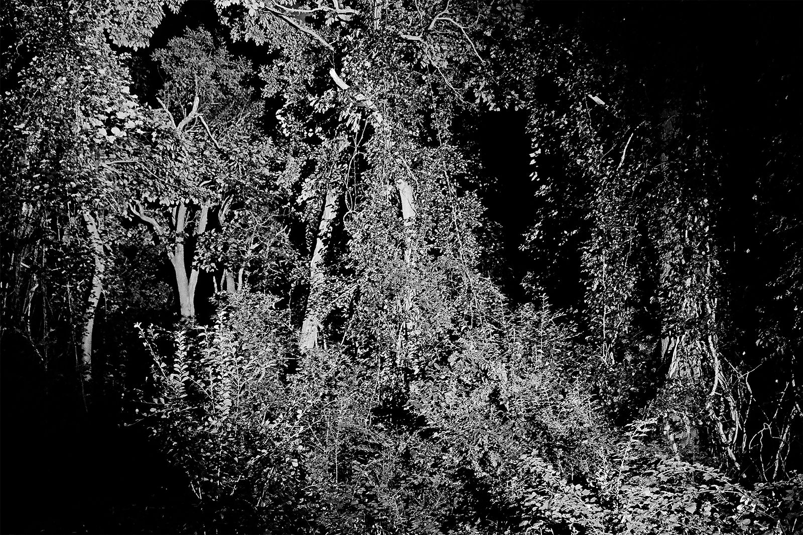 Heiss! #1, 2020, Gelatin Silver Print, 8
