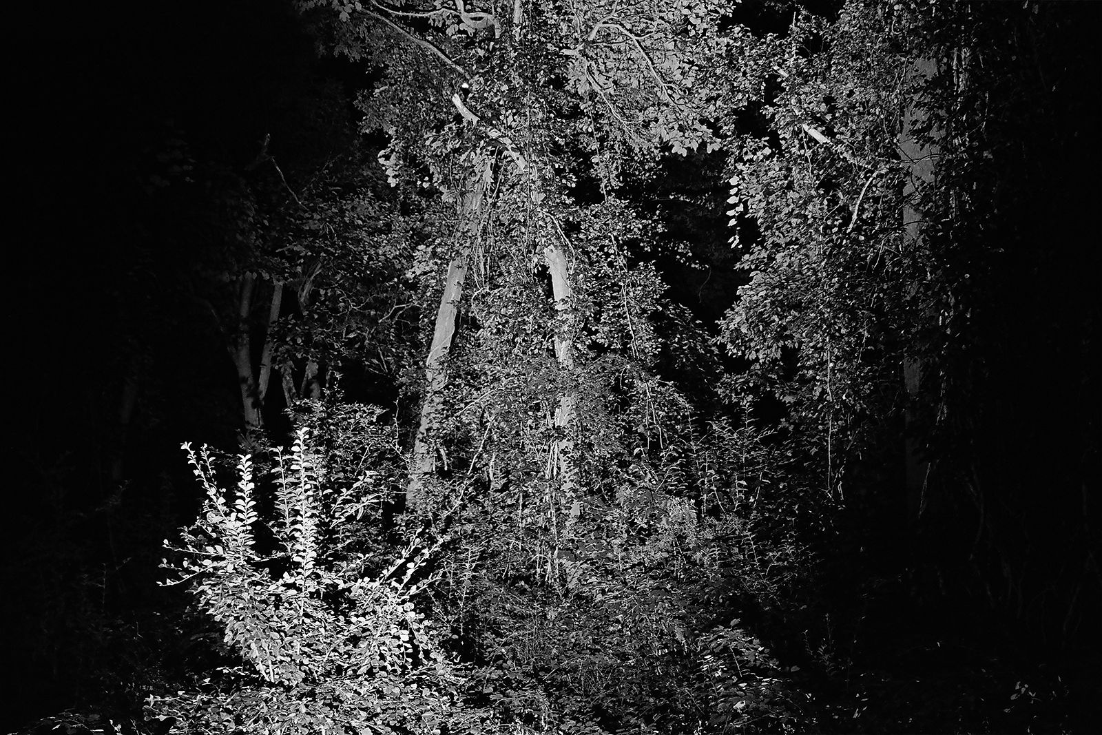 Heiss! #7, 2020, Gelatin Silver Print, 8
